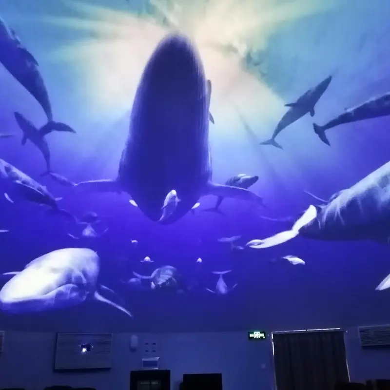 Multi-Channel-Fulldome-Fusion-Digital-Projection-System6v0u