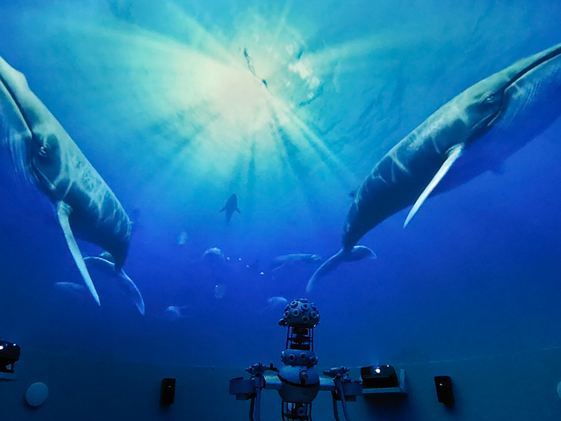 Projects-for-Planetariums-and-Dome-Cinemas6lnp